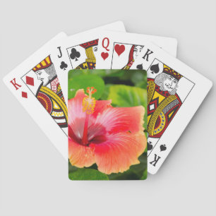 Baraja De Cartas EE. UU., Alabama, Theodore Cerca de Mobile 4