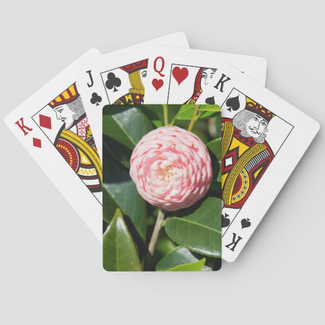 Baraja De Cartas EE.UU., Alabama, Theodore Near Mobile (Reverso)