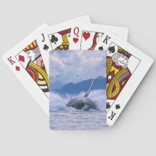 Baraja De Cartas EE.UU., Alaska, Bosque Nacional Tongass, Humpback