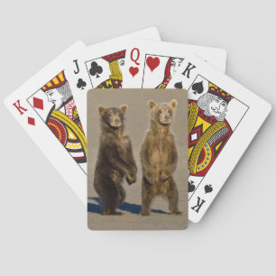 Baraja De Cartas EE. UU. Alaska. Cachorros de oso pardo costero