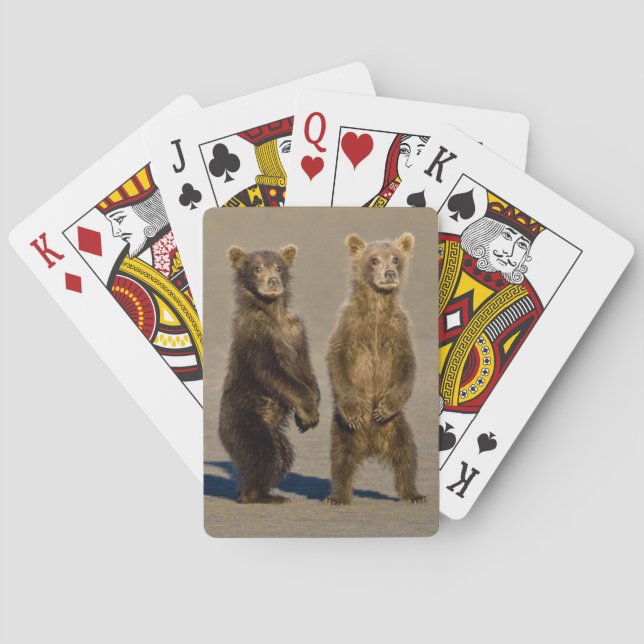 Baraja De Cartas EE.UU. Alaska. Cubos de oso marrón costero (Reverso)