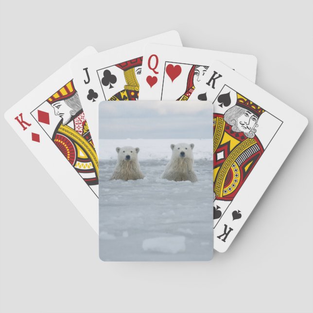 Baraja De Cartas EE.UU., Alaska, North Slope, 1002 Area 2 (Reverso)