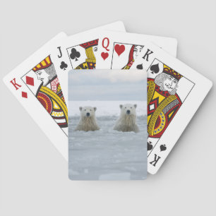 Baraja De Cartas EE. UU., Alaska, North Slope, Osos polares