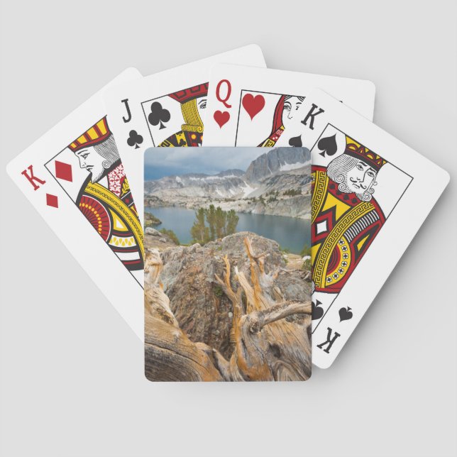 Baraja De Cartas EE. UU., California, Bosque Nacional Inyo. (Reverso)