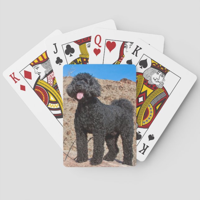 Baraja De Cartas EE. UU., California. Labradoodle de pie (Reverso)