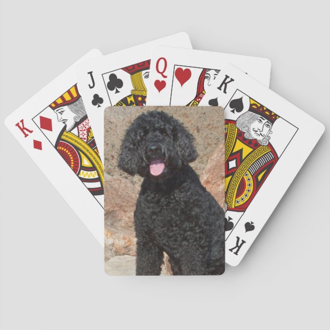 Baraja De Cartas EE. UU., California. Labradoodle sentado (Reverso)