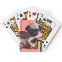 EE. UU., California. Pug cachorro desplomado
