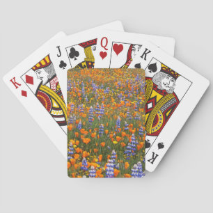 Baraja De Cartas EE. UU., California, Santa Margarita, Avenales