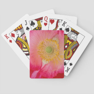 Baraja De Cartas EE.UU., Carolina del Norte. Cierre del interior de