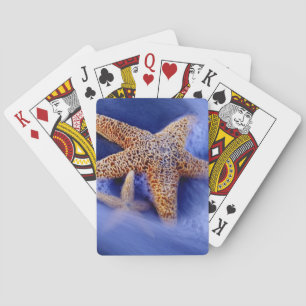 Baraja De Cartas EE.UU., Carolina del Sur, Hilton Head Island.Dos