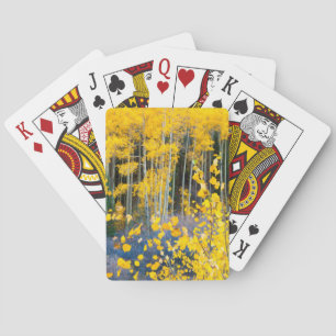 Baraja De Cartas EE.UU., Colorado. Cueros Amarillos Brillantes En R