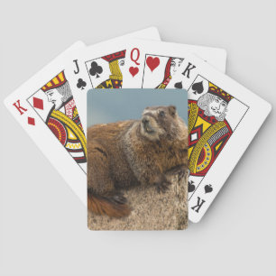 Baraja De Cartas EE. UU., Colorado, montañas San Juan 2