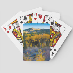 Baraja De Cartas EE.UU., Colorado. Perros amarillos brillantes en r