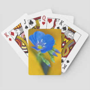 Baraja De Cartas EE. UU., Colorado. Primer plano de geranio de grul