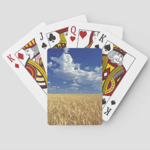 Baraja De Cartas EE. UU., Estado de Washington, Colfax. Trigo madur