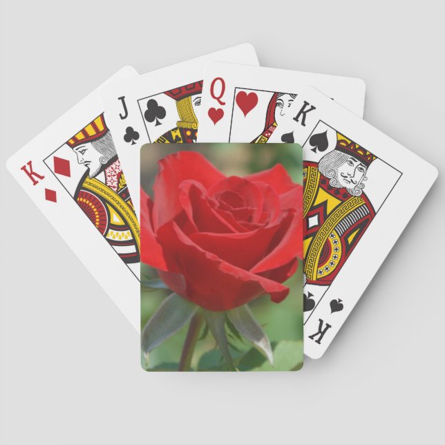 Baraja De Cartas EE. UU., Kansas, Rosa Roja (Reverso)