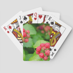 Baraja De Cartas EE. UU., Massachusetts, Nantucket. Frambuesas madu