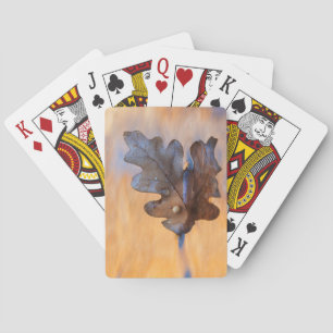Baraja De Cartas EE. UU., Nuevo México. Hoja de roble en arroyo