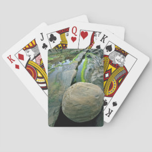 Baraja De Cartas EE. UU., Oregón, Parque Estatal Shore Acres