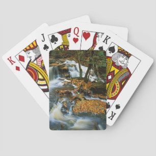 Baraja De Cartas EE. UU., Pensilvania, Parque Estatal Ricketts Glen
