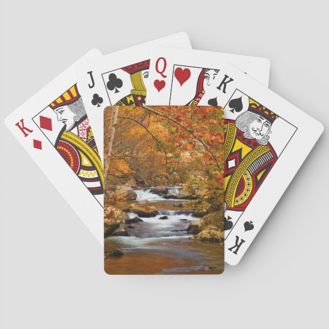 Baraja De Cartas EE.UU., Tennessee. Creek de montaña rusa (Reverso)