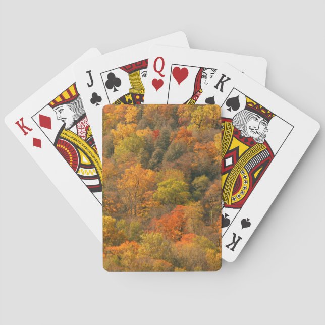 Baraja De Cartas EE. UU., Tennessee. Follaje de otoño 2 (Reverso)