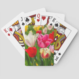 Baraja De Cartas EE.UU., Tennessee, Nashville