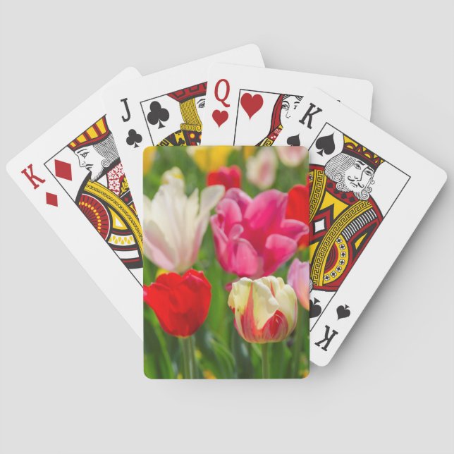 Baraja De Cartas EE. UU., Tennessee, Nashville (Reverso)