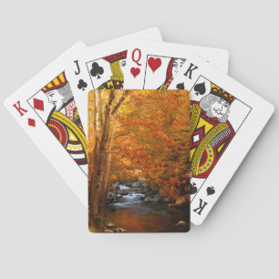 Baraja De Cartas EE. UU., Tennessee. Rushing Mountain Creek 2