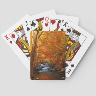 Baraja De Cartas EE. UU., Tennessee. Rushing Mountain Creek 2
