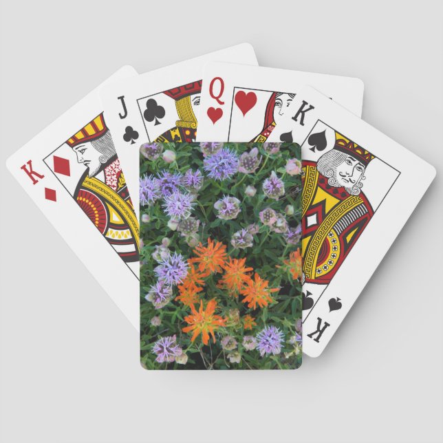 Baraja De Cartas EE. UU., Utah, Bosque Nacional Uinta-Wasatch-Cache (Reverso)