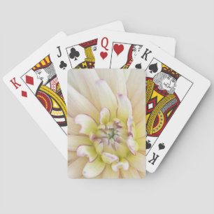 Baraja De Cartas EE. UU., Washington, Bellevue, Bellevue Botánico 2