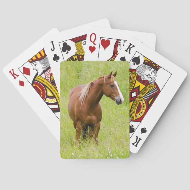 Baraja De Cartas EE. UU., Washington, Caballo en Campo de Primavera (Reverso)