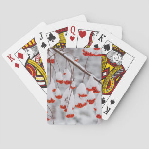 Baraja De Cartas EE. UU., Washington, condado de Spokane