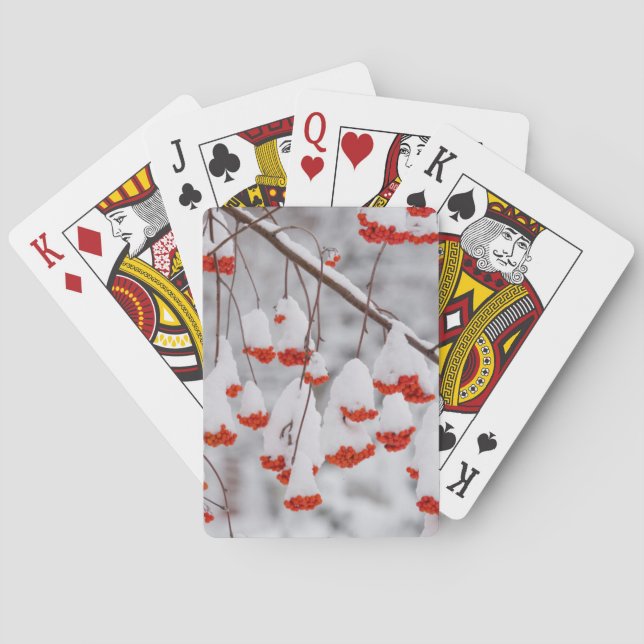 Baraja De Cartas EE. UU., Washington, condado de Spokane (Reverso)