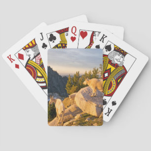 Baraja De Cartas EE. UU., Washington, Cordillera de las Cascadas 4