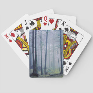 Baraja De Cartas EE. UU., Washington, Isla Orcas, Parque Estatal Mo