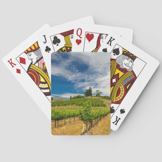 Baraja De Cartas EE. UU., Washington, lago Chelan. Viñedo 3 (Reverso)