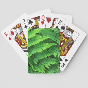 Baraja De Cartas EE. UU., Washington, Parque Nacional Olímpico, Ath