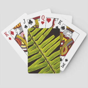 Baraja De Cartas EE. UU., Washington, Parque Nacional Olímpico, Con