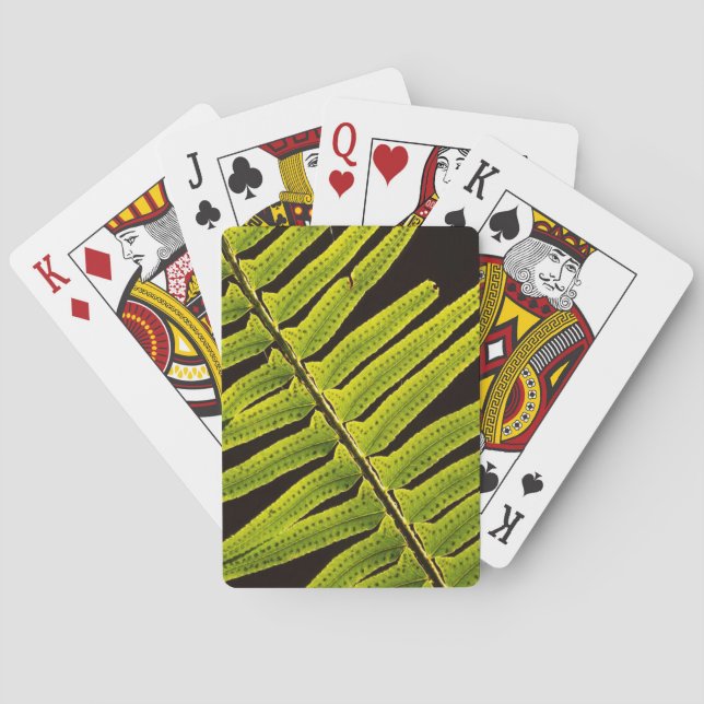 Baraja De Cartas EE. UU., Washington, Parque Nacional Olímpico, Con (Reverso)