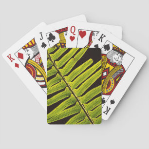 Baraja De Cartas EE. UU., Washington, Parque Nacional Olímpico, Con