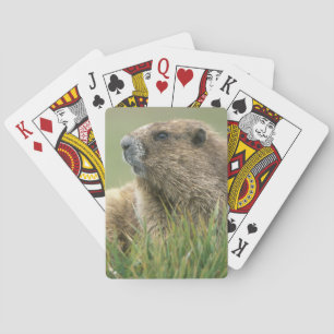 Baraja De Cartas EE. UU., Washington, Parque Nacional Olímpico, Mar