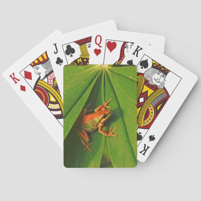 Baraja De Cartas EE.UU., Washington, Seattle, Discovery Park 2 (Reverso)