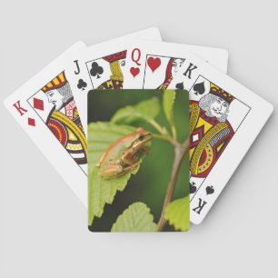 Baraja De Cartas EE.UU., Washington, Seattle, Parque Discovery