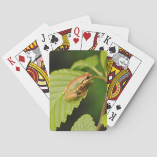 Baraja De Cartas EE. UU., Washington, Seattle, Parque Discovery