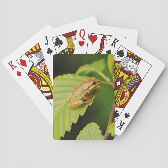 Baraja De Cartas EE. UU., Washington, Seattle, Parque Discovery (Reverso)