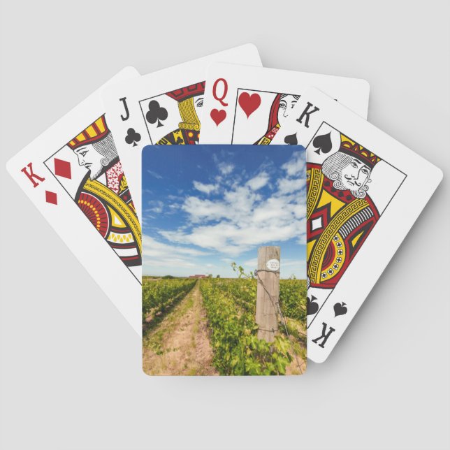 Baraja De Cartas EE. UU., Washington, Walla Walla. Cabernet Sauvign (Reverso)