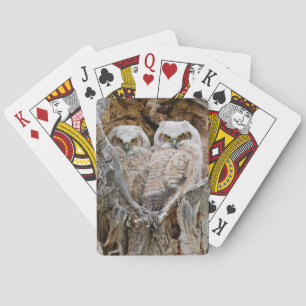 Baraja De Cartas EE. UU., Wyoming, Parque Nacional Grand Teton