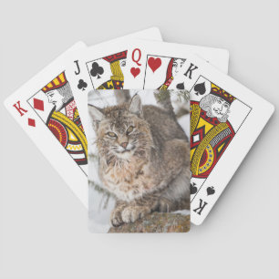 Baraja De Cartas EE. UU., Wyoming, Parque Nacional Yellowstone, Lin